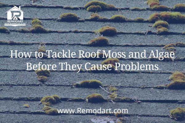How to Tackle Roof Moss and Algae Before They Cause Problems