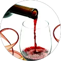 Regina Rotolante Avatar